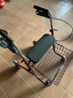 Rollator mit Korb Niedersachsen - Lüdersfeld Vorschau