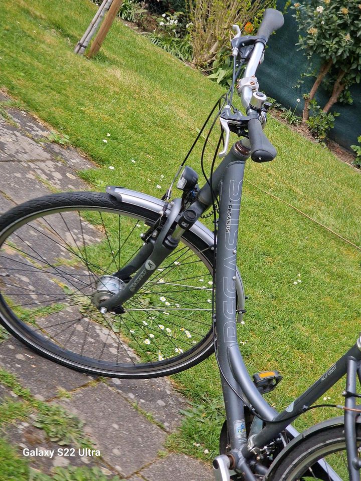 Fahrrad Pegasus Solero Alu Light in Neuss