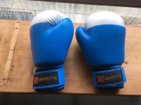 Boxhandschuhe Baden-Württemberg - Sindelfingen Vorschau