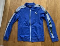 Puma Sweatjacke Damen hellblau 38 Brandenburg - Schöneiche bei Berlin Vorschau