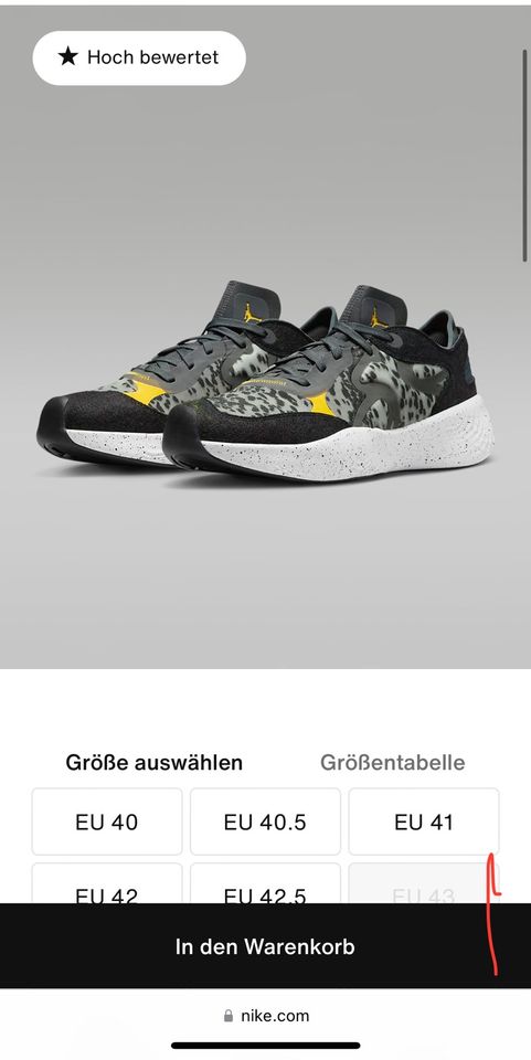 Nike Jordan Delta 3 Low in Berlin