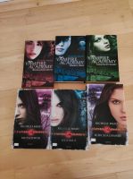 Vampire Academy Baden-Württemberg - Bruchsal Vorschau