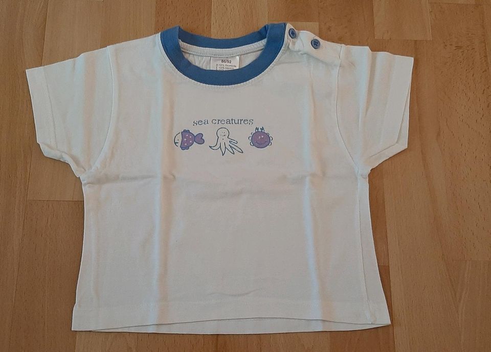 ❤ T-Shirts Mädchen Gr. 86 je 2 € ❤ in Datteln