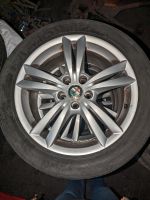 Alfa Romeo 7,5x17 Felgen Nordrhein-Westfalen - Eslohe Vorschau