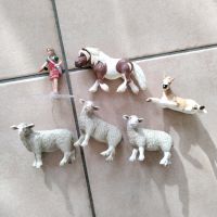 Schleich Ponys, Schafe, , Mädchen für je 5 Euro Niedersachsen - Lauenbrück Vorschau