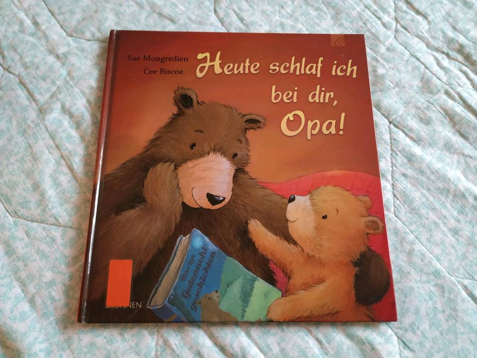 Kinderbuch Heute schlaf ich bei dir Opa! Brunnen Verlag in Platten