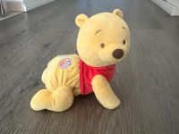 Krabbel Winnie Pooh Lernspielzeug Schleswig-Holstein - Ahrensburg Vorschau