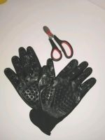 Katzen Bürsten- Handschuhe & Nagelschere Baden-Württemberg - Heiningen Vorschau