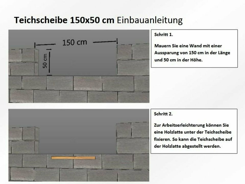 Teichscheibe / Teichfenster / Koi / Teich in Dortmund