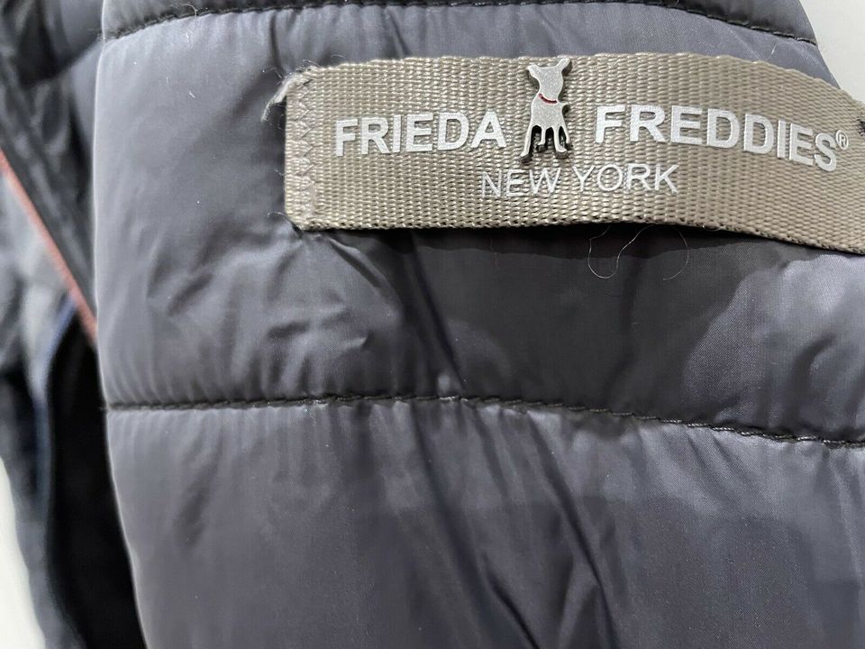 Frieda & Freddies Jacke Übergangsjacke Regenjacke Größe 36 in München