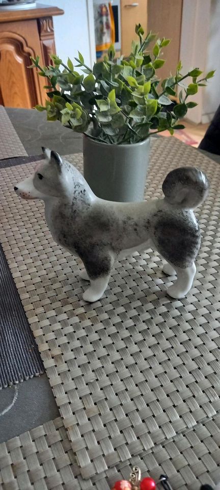 Hund Hundefigur Pozellan Sibirischer Laika Husky Porzellanfigur in Werl