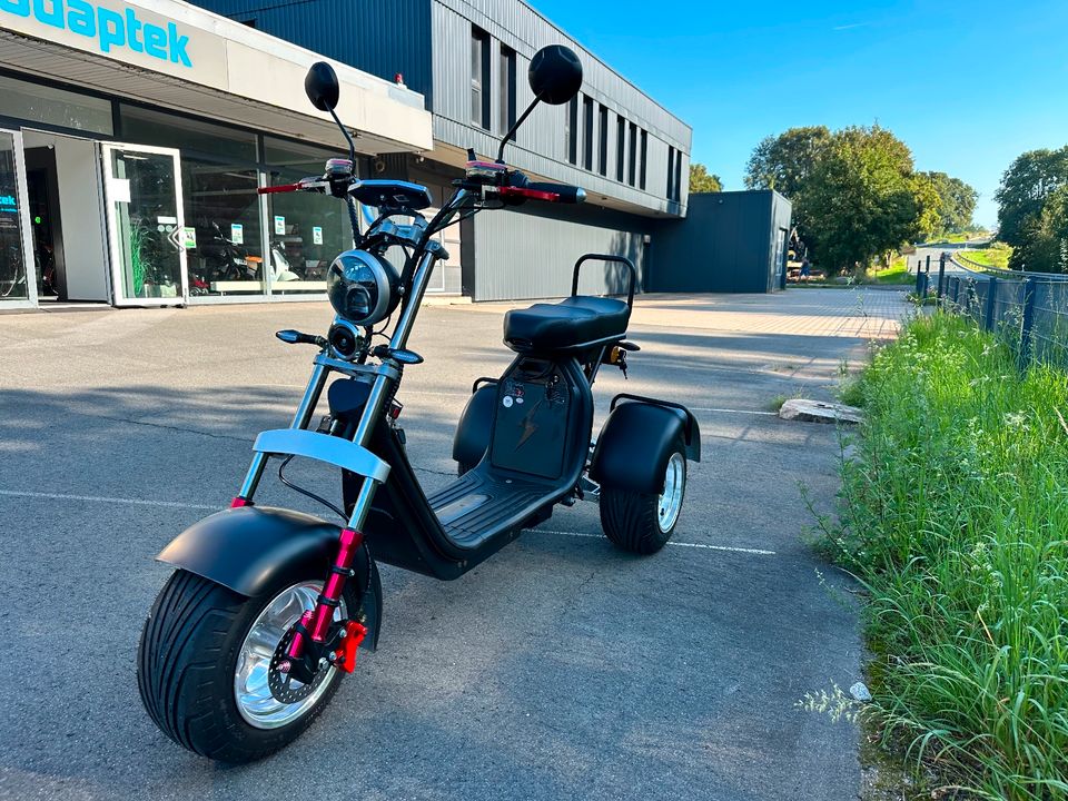 Elektro-Trike 45 km/h/4000W peak/bis 90 km/Neigetechnik in Weißenstadt