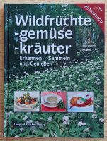 Wildfrüchte -gemüse -kräuter - Erkennen Sammeln und Genießen Bayern - Kempten Vorschau