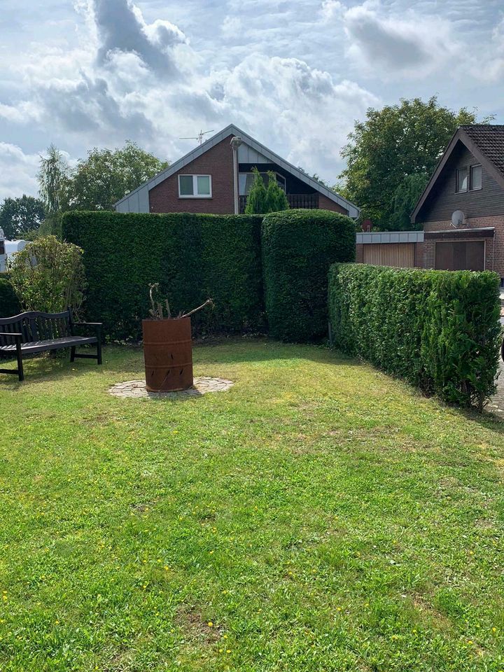 Sträucher schneiden Hecke Garten Weißdorn liguster Lorbeerschnitt in Goch