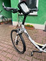 KTM Damenfahrrad 28 Frankfurt am Main - Bonames Vorschau