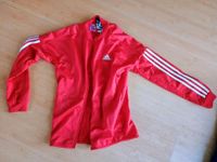 Rote Adidas Trainingsjacke in 152 Niedersachsen - Hildesheim Vorschau