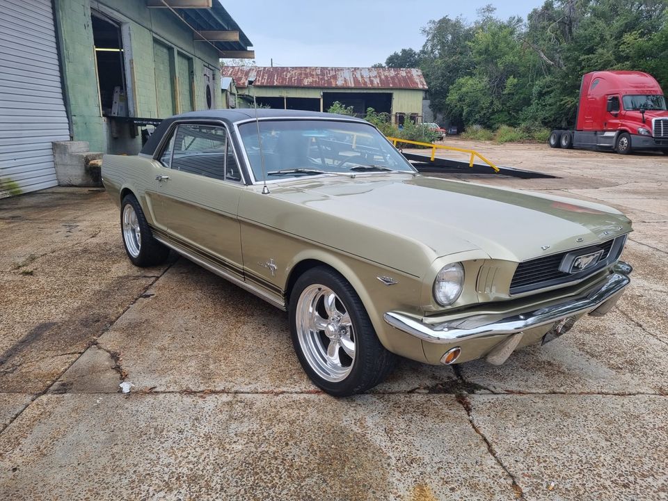 Ford Mustang V8 in Röbel