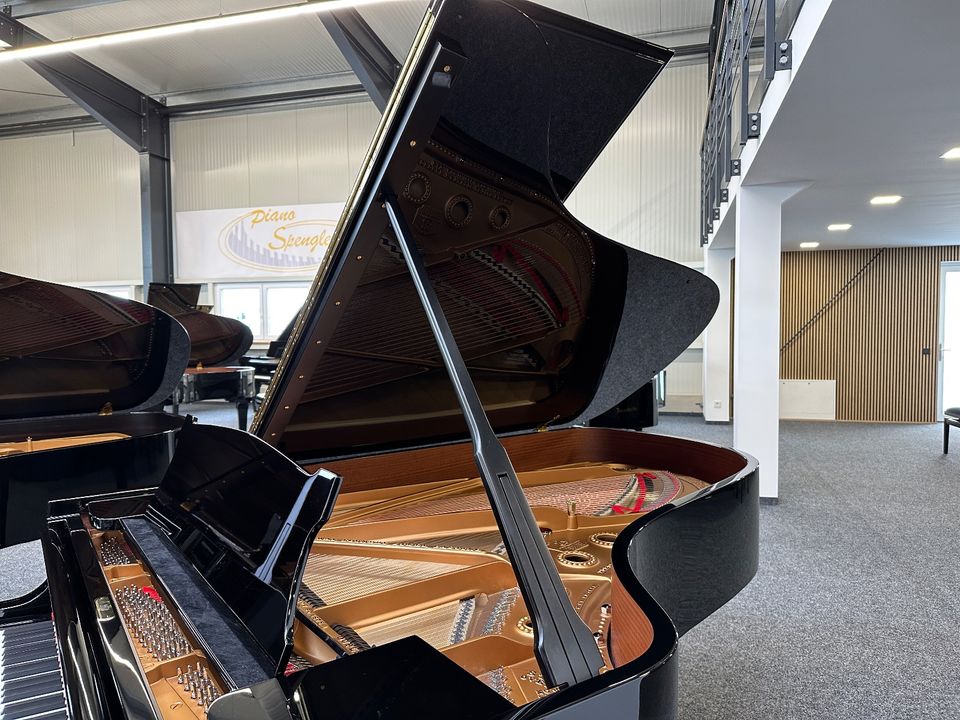 Steinway & Sons Flügel, Modell B-211, TOP Zustand, 5 J. Garantie in Swisttal