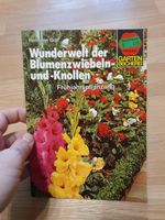 Buch Hermann Graf Wunderwelt der Blumenzwiebeln- und -Knollen Sachsen-Anhalt - Halle Vorschau