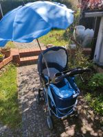 Kinderwagen Set Brandenburg - Seddiner See Vorschau