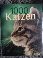 großes Katzen Buch Nordrhein-Westfalen - Heinsberg Vorschau