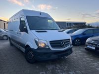 Mercedes-Benz Sprinter II Kasten 316 CDI Bayern - Weiden (Oberpfalz) Vorschau