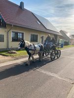 17.03.2024 Schnupperkurs Fahren, Kutschefahren Brandenburg - Wollin bei Brandenburg an der Havel Vorschau