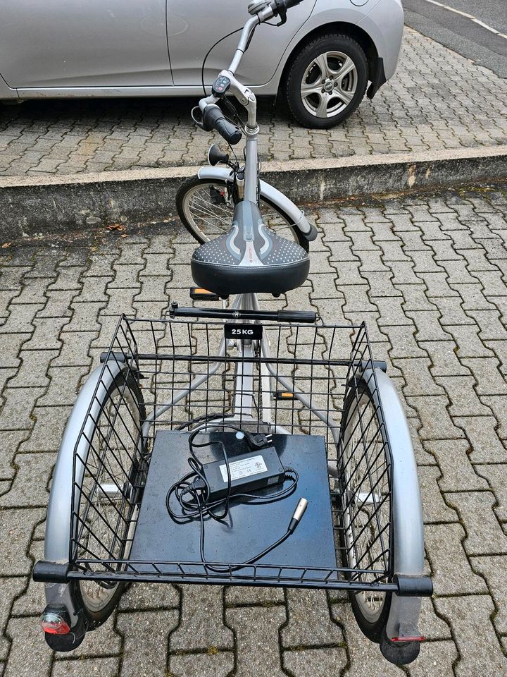 Wild Eagle Dreirad E-Bike Lastenfahrrad 26/24 Zoll in Weiherhammer