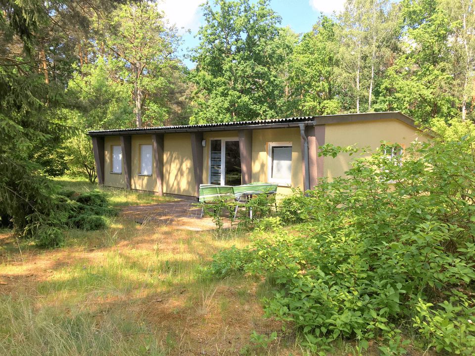 Feriendorf direkt am See - mit Entwicklungspotenzial in Heidesee