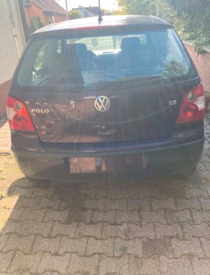 VW Polo 1.2 in Ludwigshafen