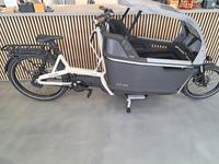 eBike Lastenrad Ca Go FS200 Family Plus Silk grey Bosch Riemen Häfen - Bremerhaven Vorschau
