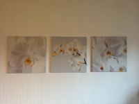 Bilder auf Leinwand gedruckt (Orchideen) Hessen - Weilburg Vorschau
