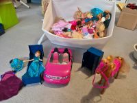 Große Barbie Puppen Kiste (Auto, Pferd, Anna von Frozen und mehr) Hessen - Kassel Vorschau