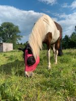 Pony Tag für Kinder Niedersachsen - Neustadt am Rübenberge Vorschau