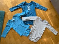 Set 3 Stück Langarmbodies H&M Lupilu 74 80 Dresden - Johannstadt Vorschau