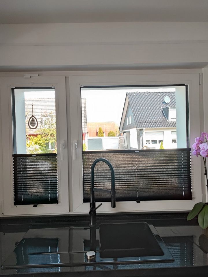 Plissees nach Maß - für jedes Fenster die perfekte Lösung! in Marl