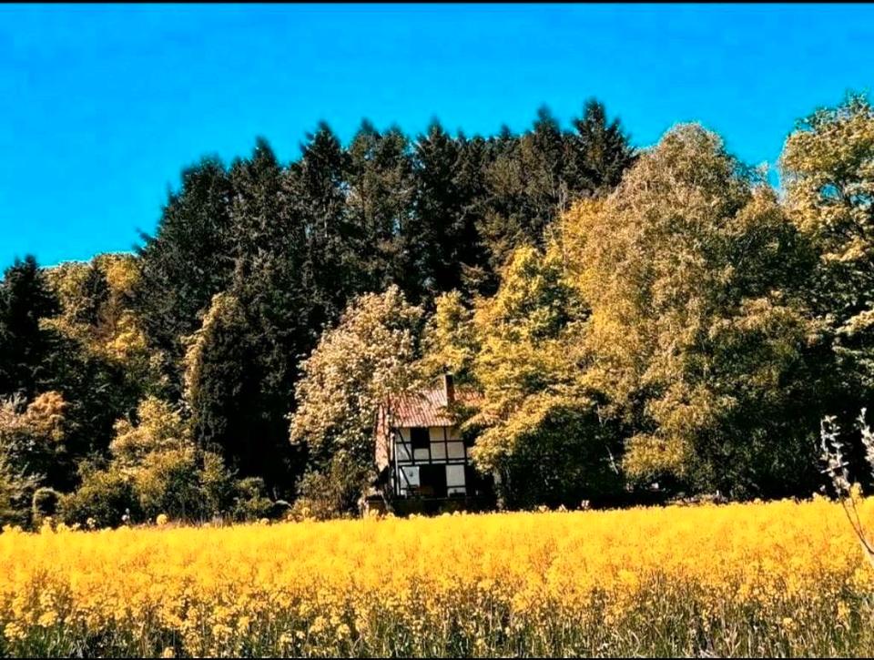 Ruhiges Ferienhaus, Alleinlage, Natur, Urlaub mit Hund, Nähe Harz in Einbeck