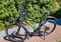 Kreidler  mountainbike crossbike Fahrrad  Herren gelb blau grün Schleswig-Holstein - Satrup Vorschau