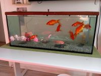 Aquarium+ Wasserpumpe gratis Niedersachsen - Salzgitter Vorschau