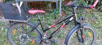 Hercules Damen Fahrrad 26zoll Baden-Württemberg - Oberkirch Vorschau