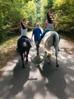 Kindergeburtstag mit shettys Schleswig-Holstein - Nahe Vorschau