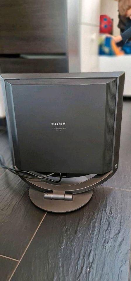 Sony 19 Zoll LCD Monitor in Philippsburg
