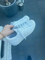 Adidas Superstar weiß 36 2/3 Nordrhein-Westfalen - Bornheim Vorschau