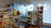 Teilladenfläche zu vermieten, shop in shop Hessen - Groß-Gerau Vorschau