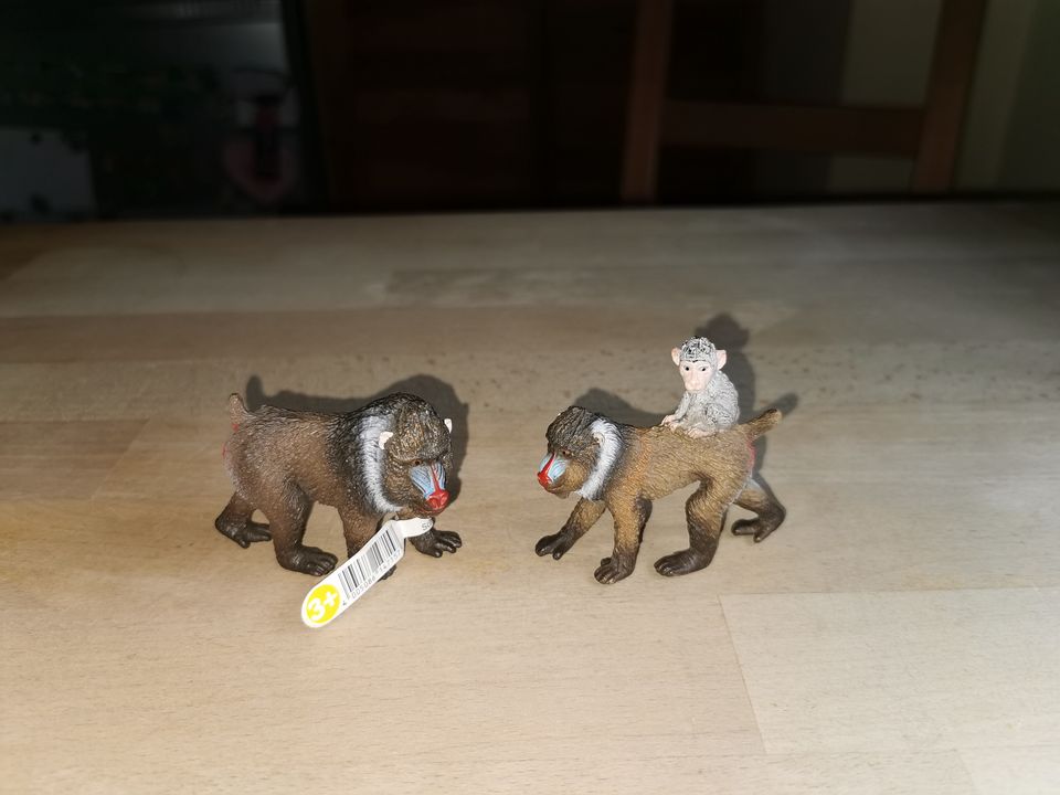 Schleich Mandrill Männchen Affe 14715 & Weibchen mit Baby 14716 in Bad Gandersheim