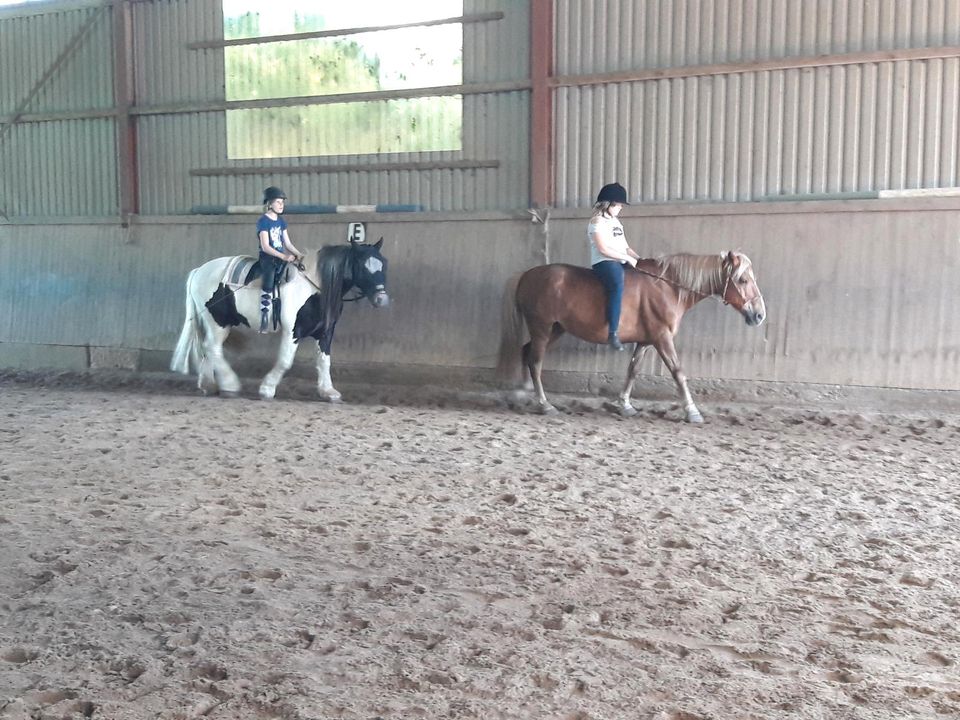 Ferienwohnung,Nordsee Nähe,v. Natur, Reiten,angeln, Kutschfa, in Hollingstedt b Delve Holst