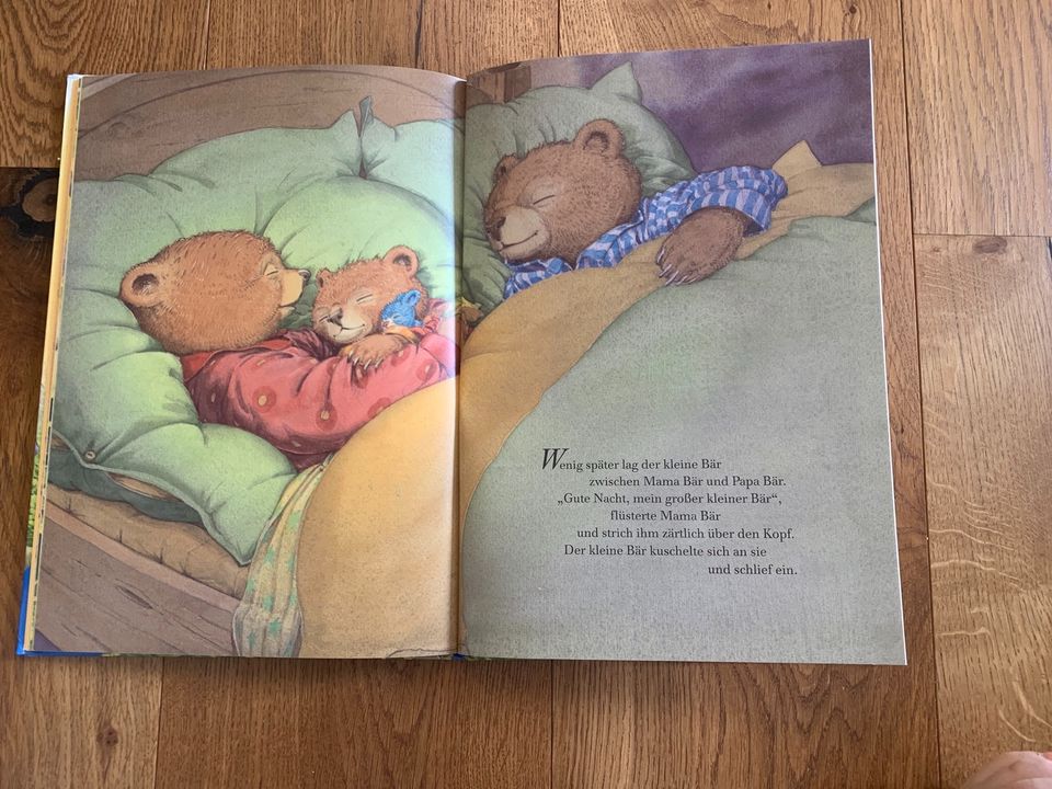 Buch „Der kleine Bär ganz groooß! in Aurachtal