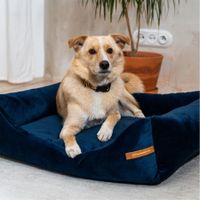 Orthopädisches ökologisches Hundebett - hoher Rand 105x85x20 cm Niedersachsen - Braunschweig Vorschau