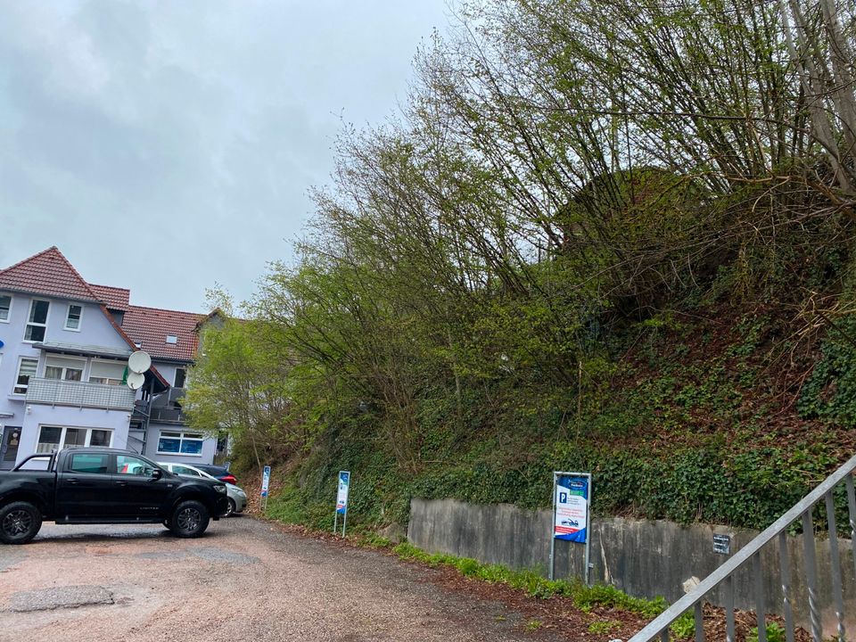 Baumfällung | Problembaumfällung | Baum fällen in St. Georgen