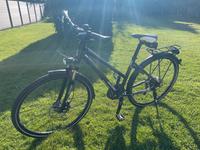 Damen Cross-/ Trekkingfahrrad von Raleigh Nordrhein-Westfalen - Heek Vorschau